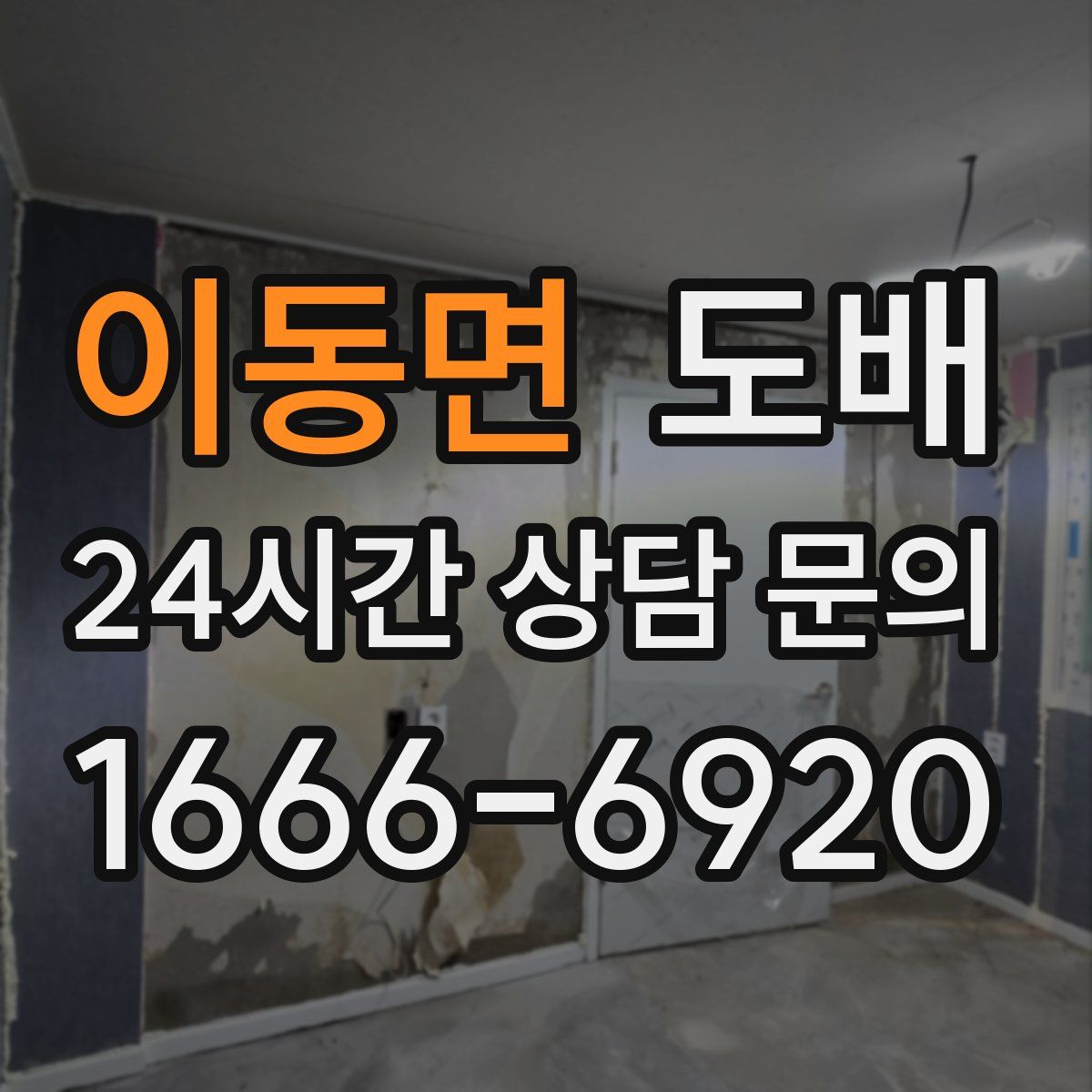 이동면 도배