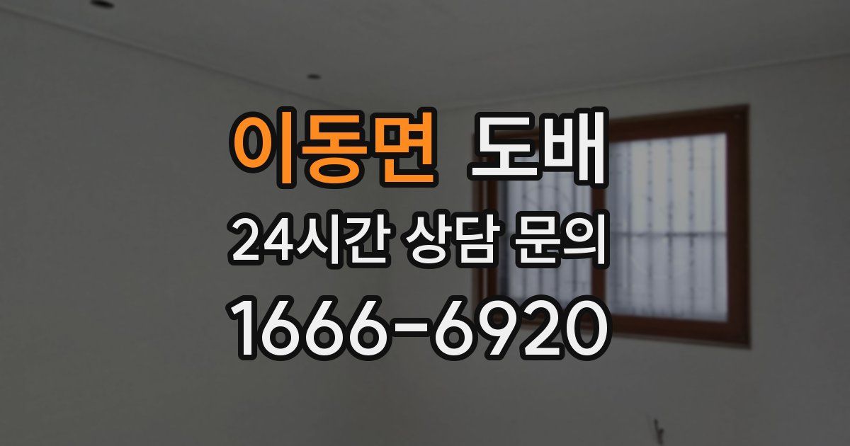 이동면 도배