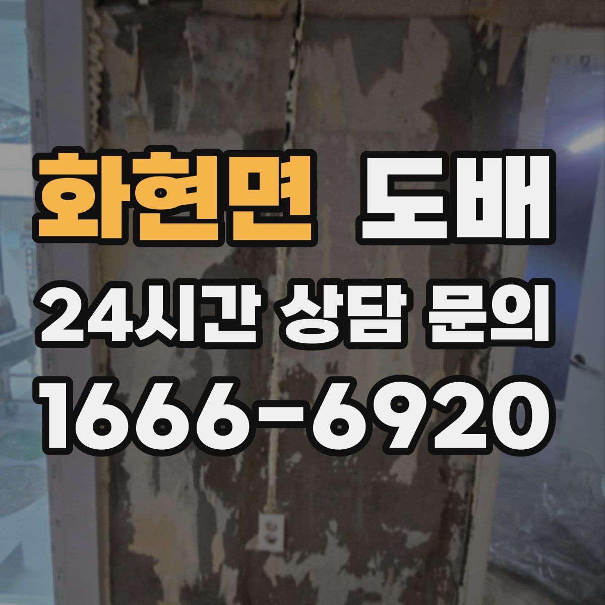 화현면 도배