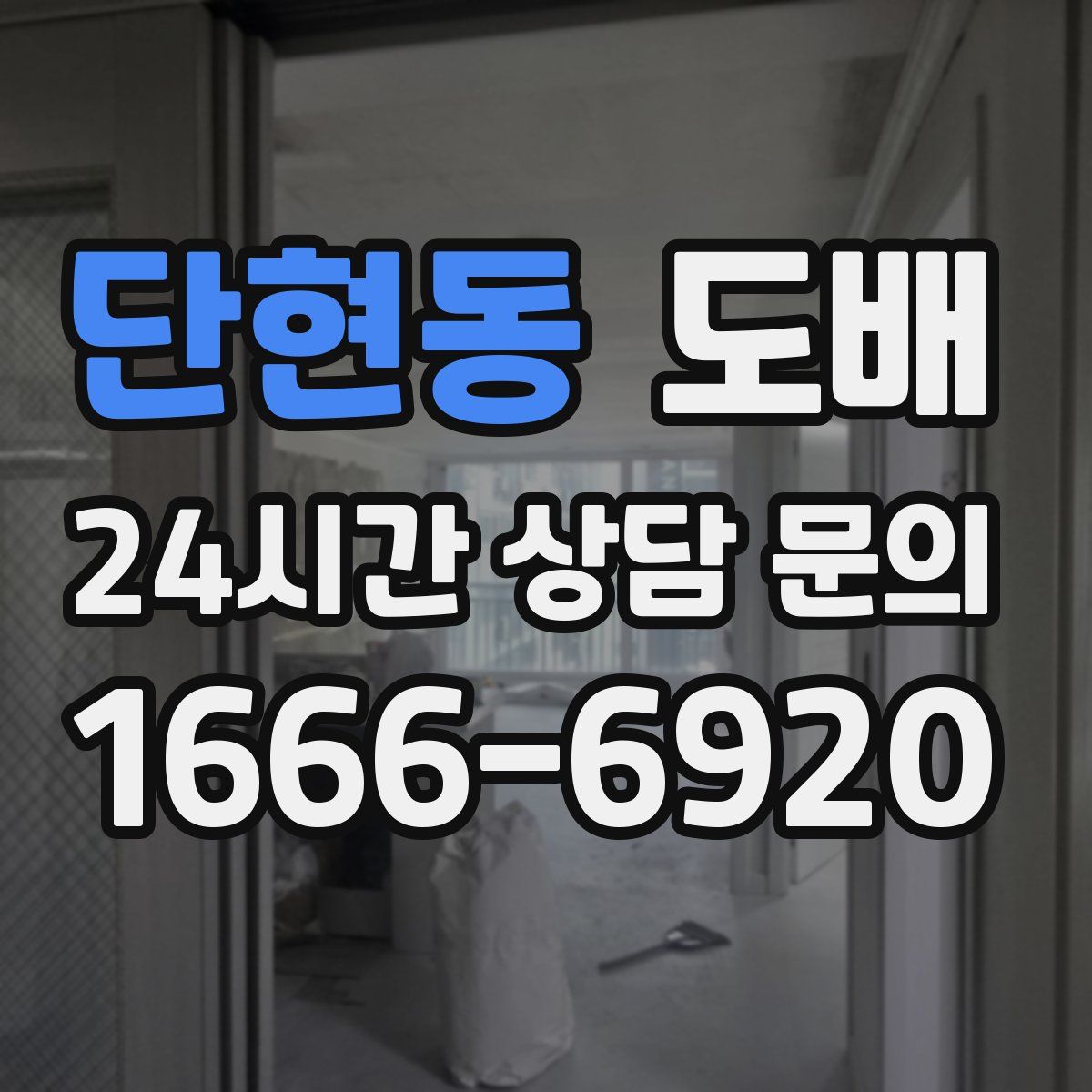 단현동 도배