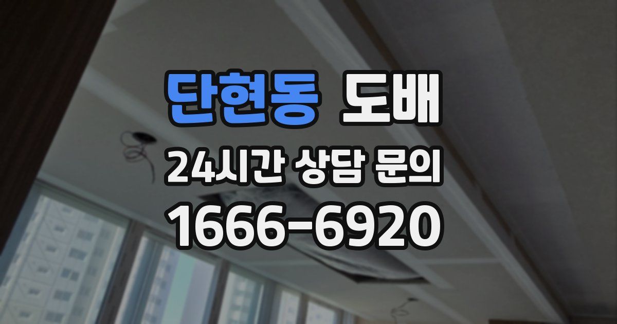 단현동 도배