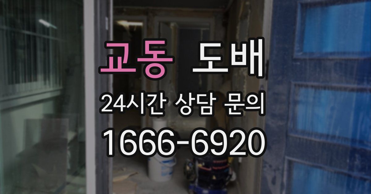 교동 도배