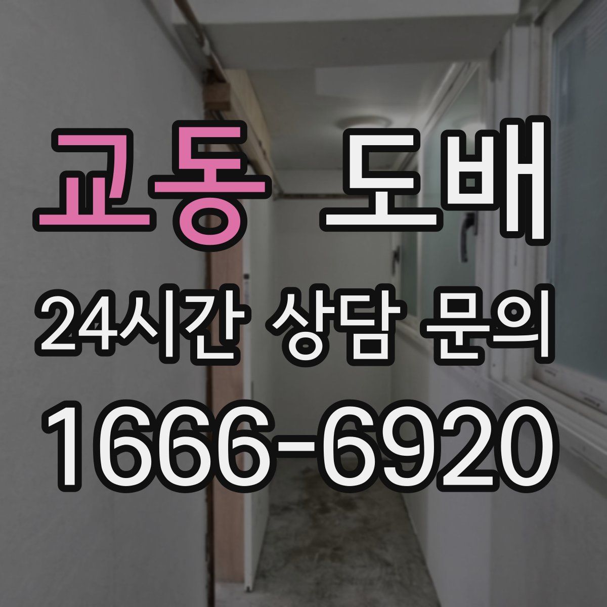 교동 도배