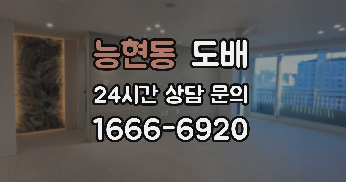 능현동 도배