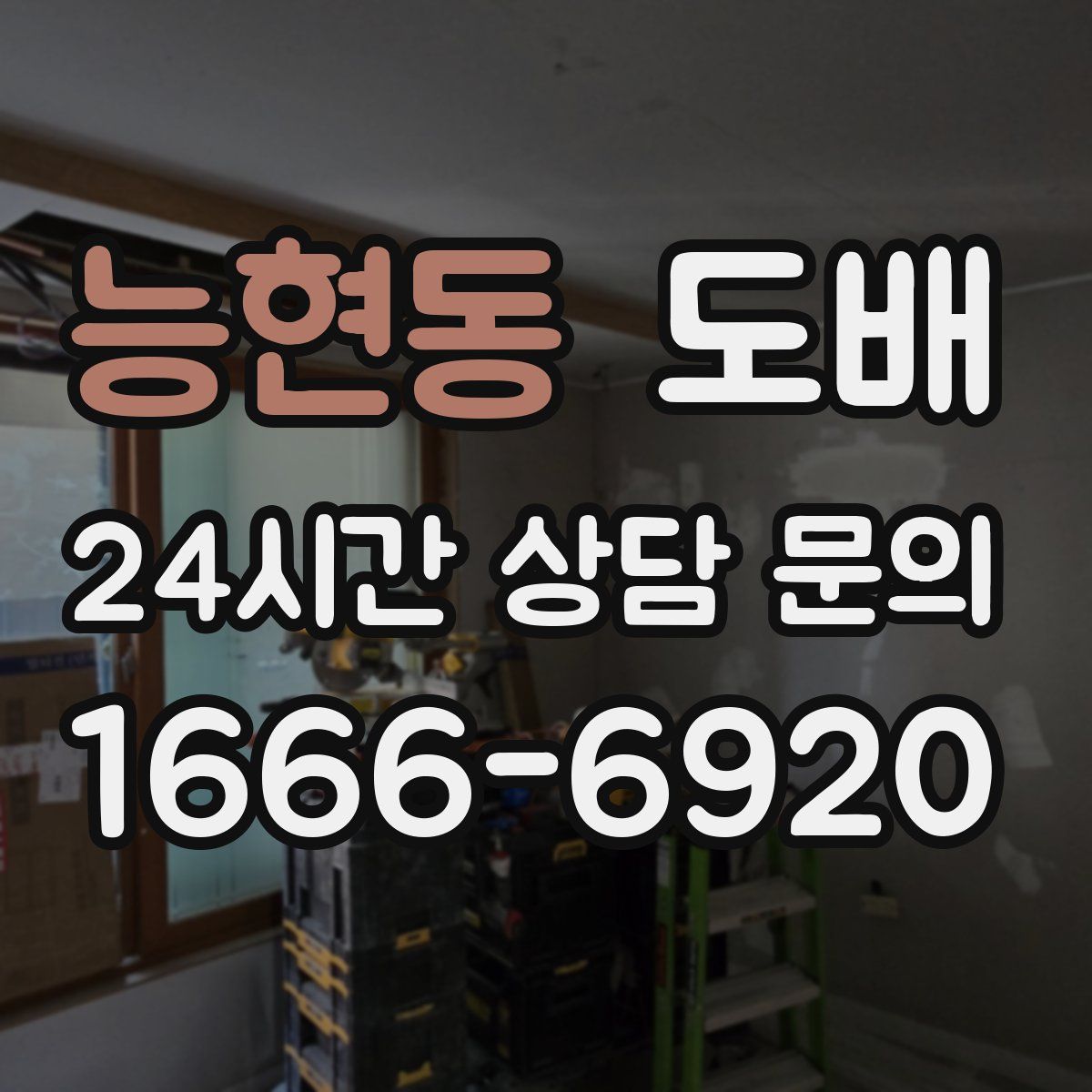 능현동 도배