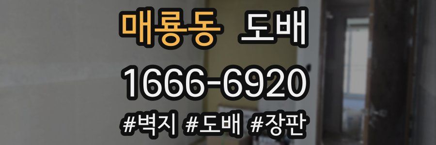 매룡동 도배