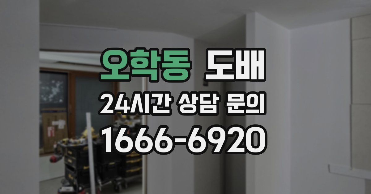 오학동 도배