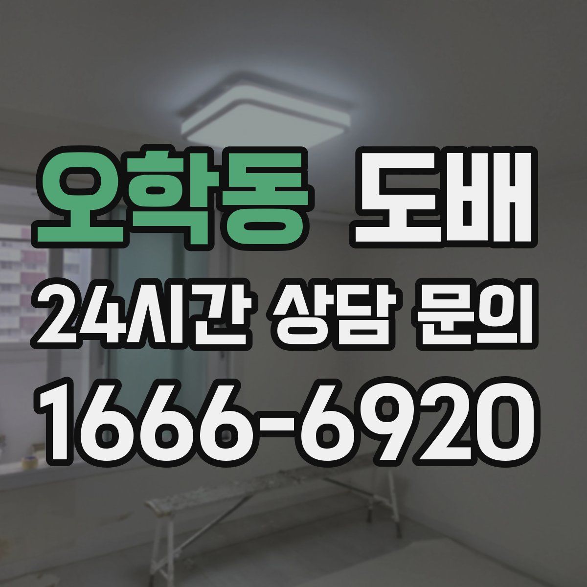 오학동 도배