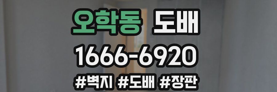 오학동 도배