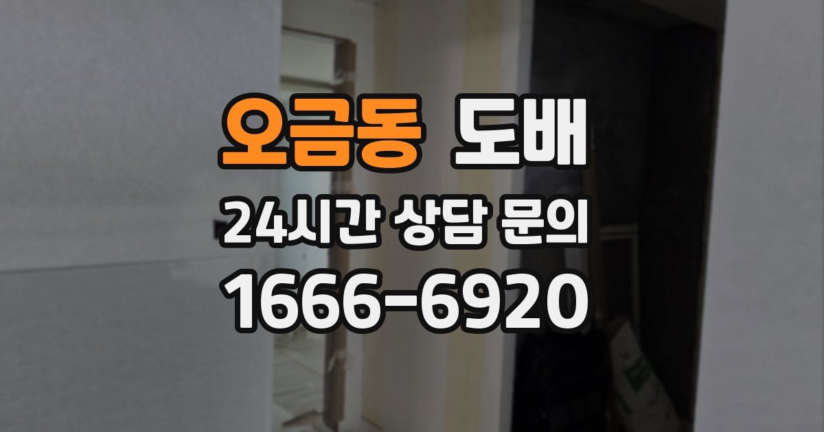 오금동 도배