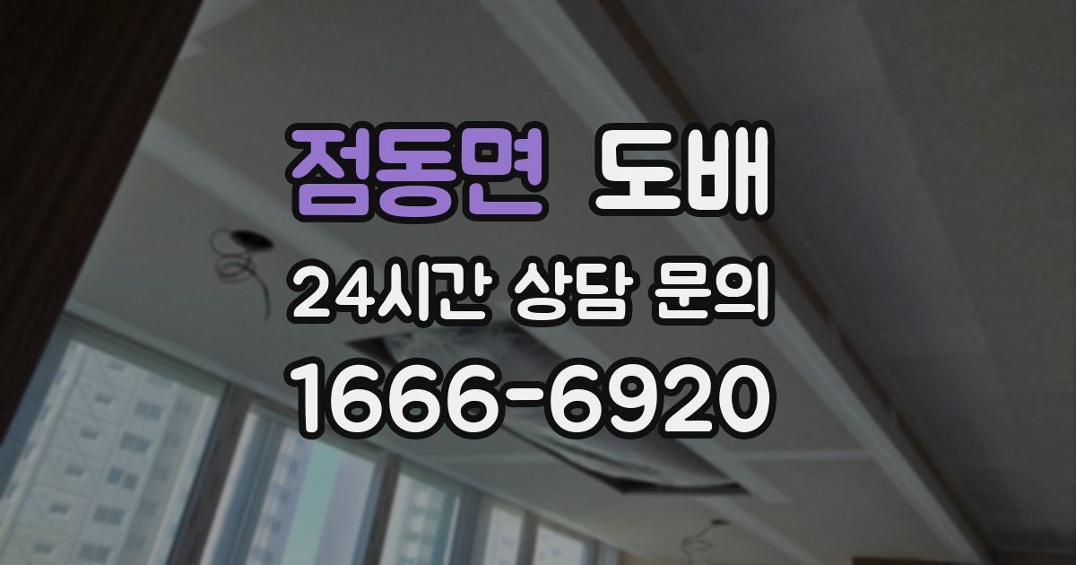 점동면 도배