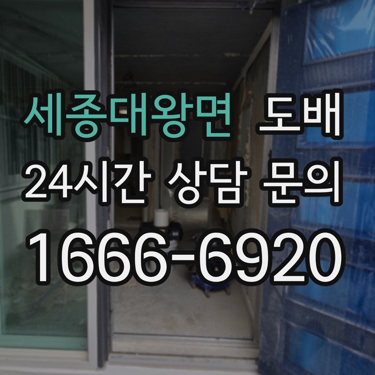 세종대왕면 도배
