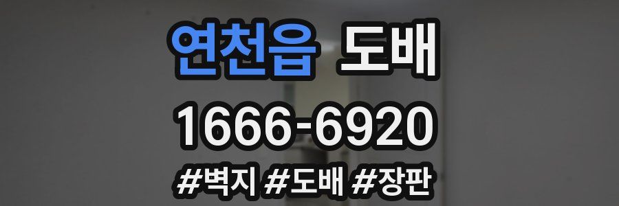 연천읍 도배