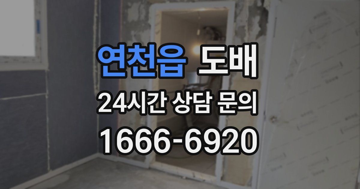 연천읍 도배