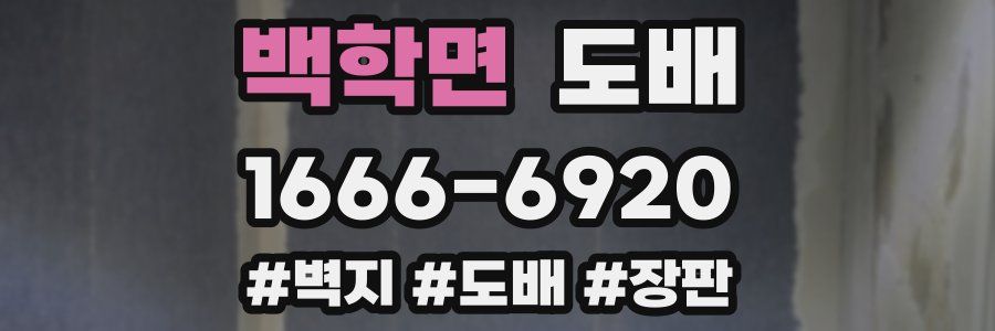 백학면 도배