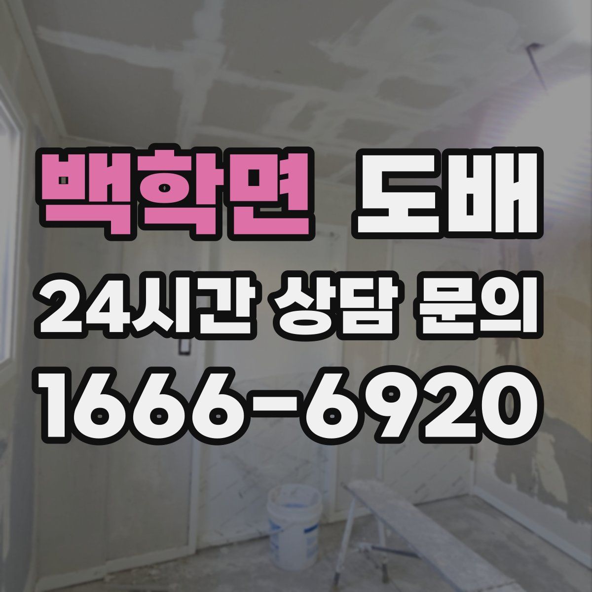 백학면 도배