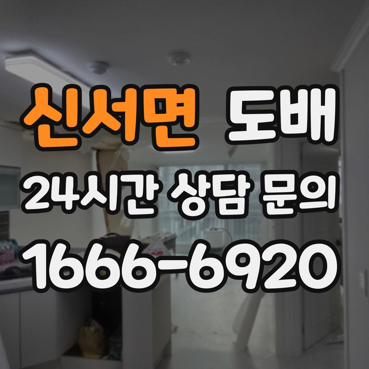 신서면 도배