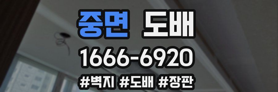 중면 도배