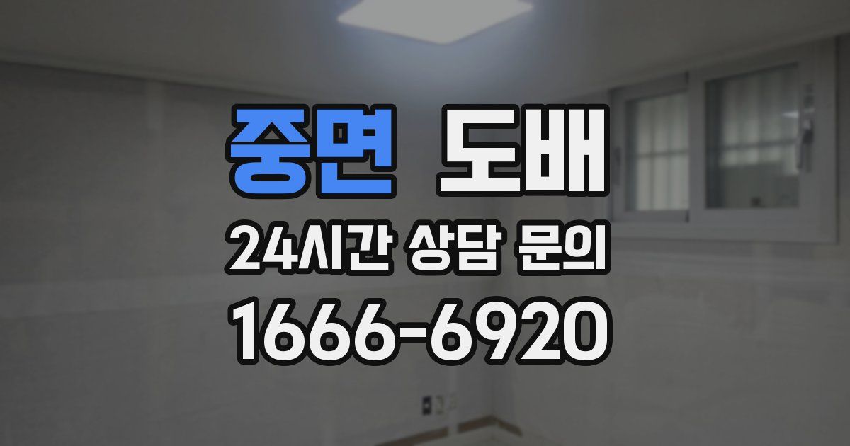중면 도배