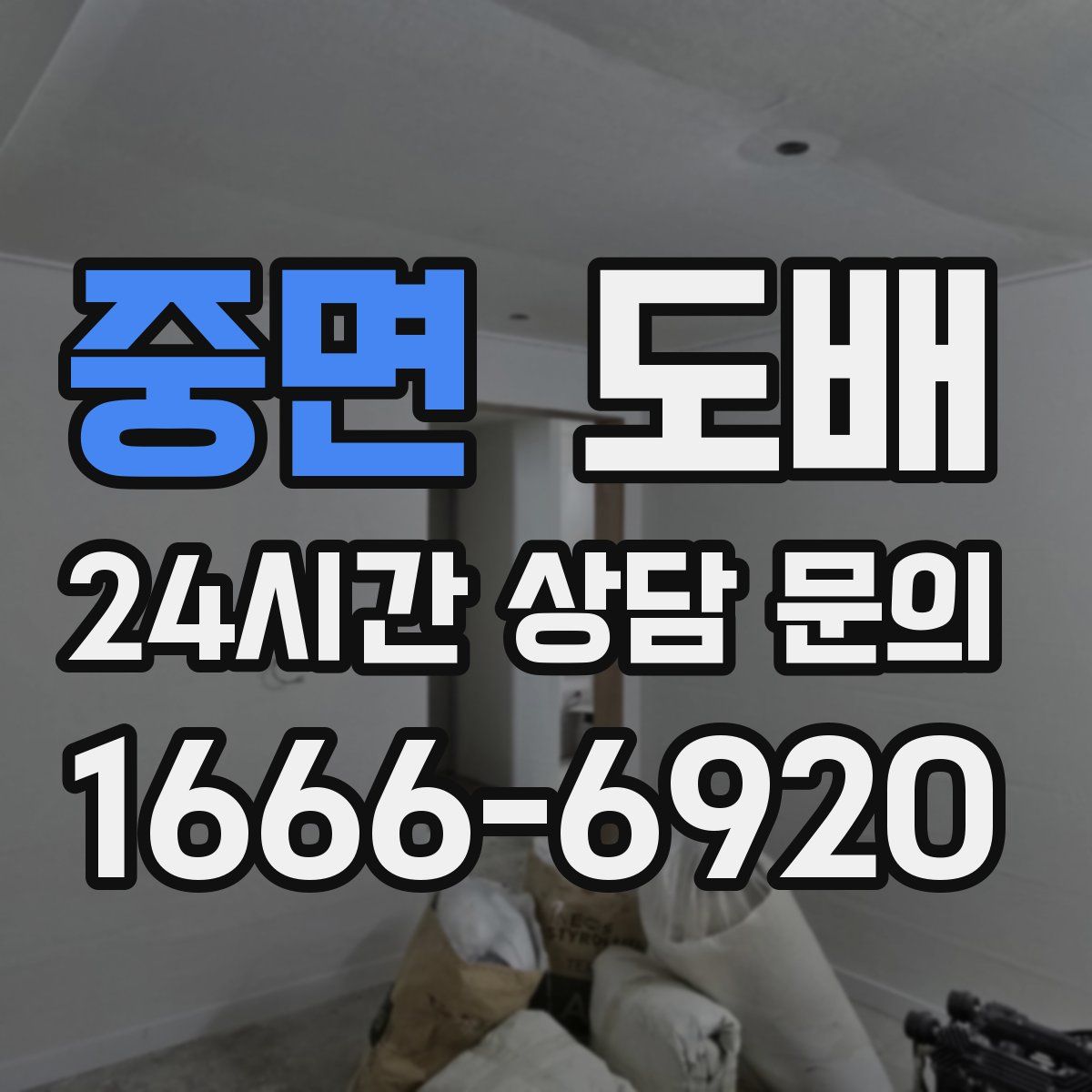 중면 도배