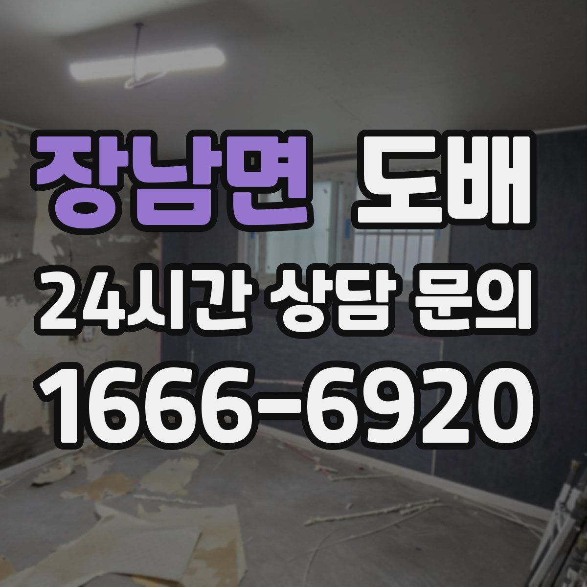 장남면 도배