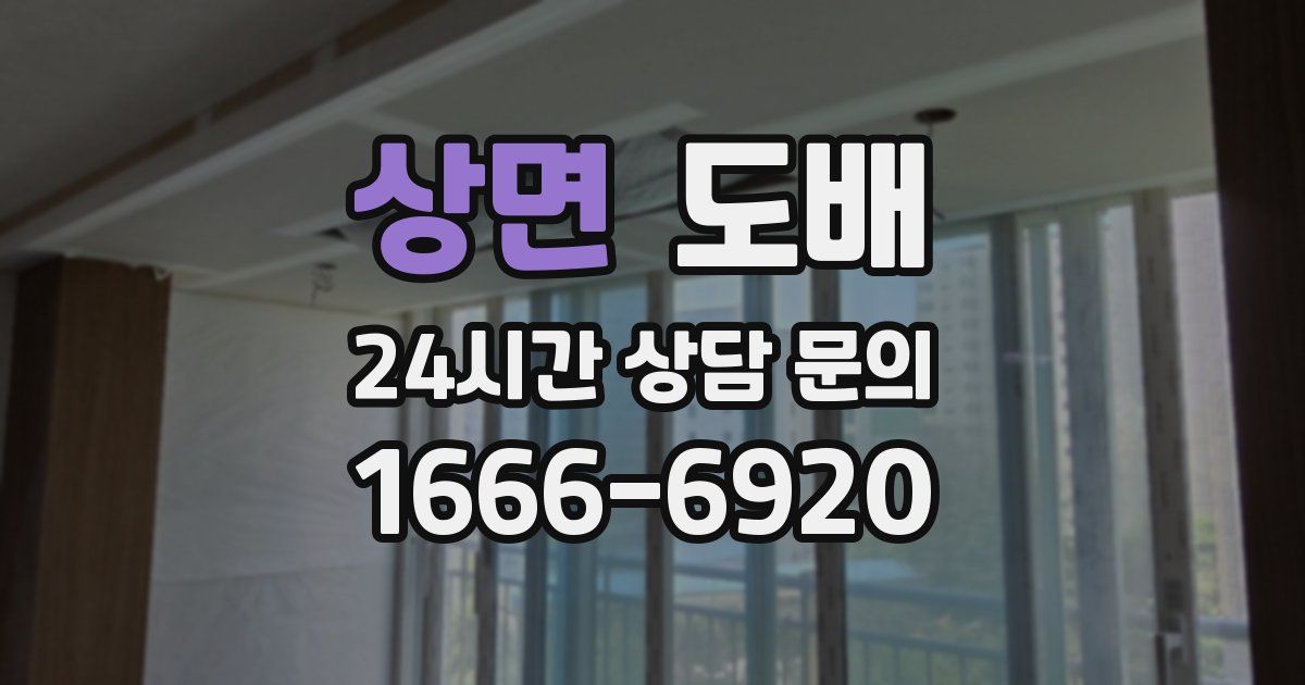 상면 도배