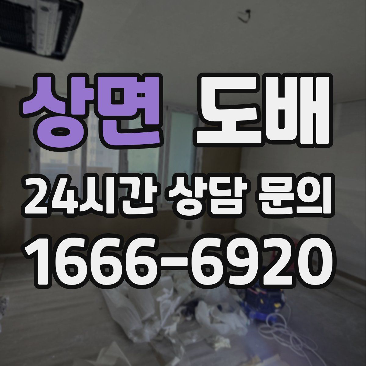 상면 도배