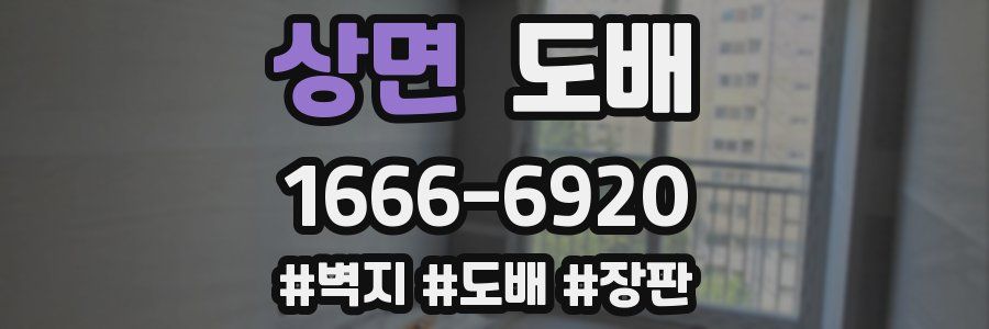 상면 도배