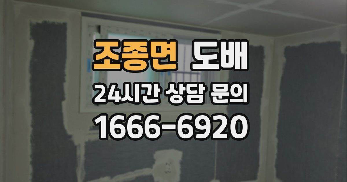 조종면 도배