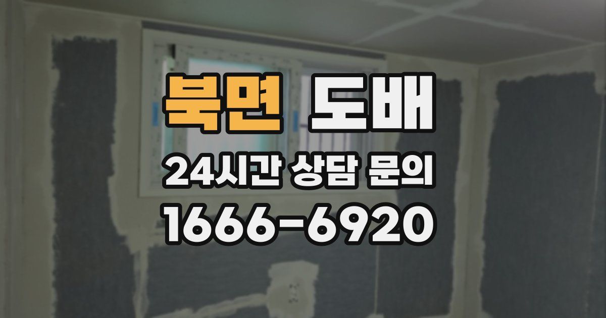 북면 도배