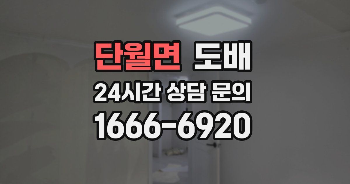 단월면 도배
