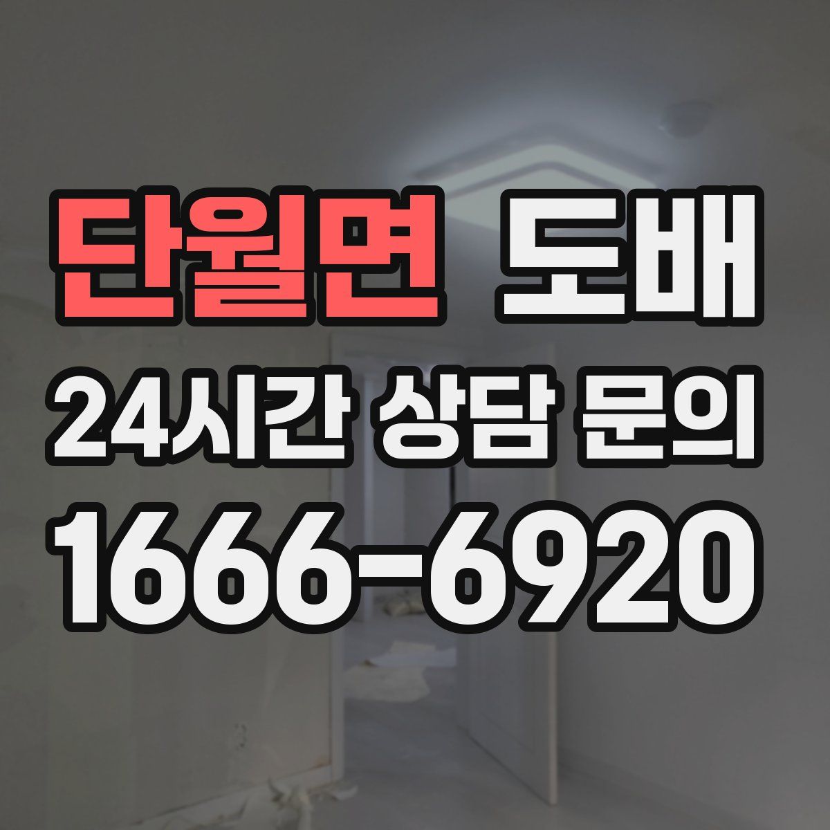 단월면 도배
