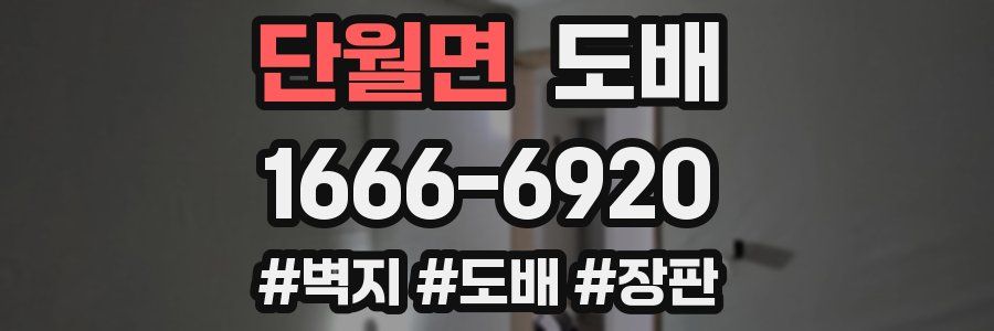 단월면 도배