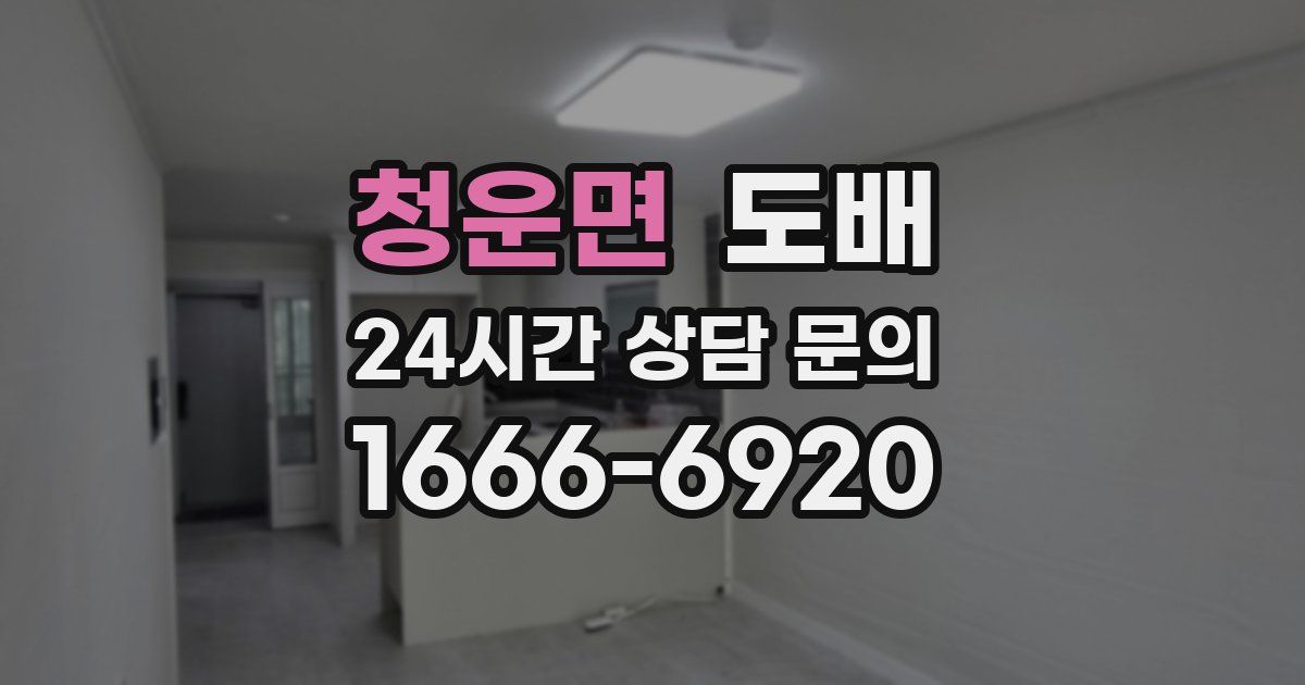 청운면 도배
