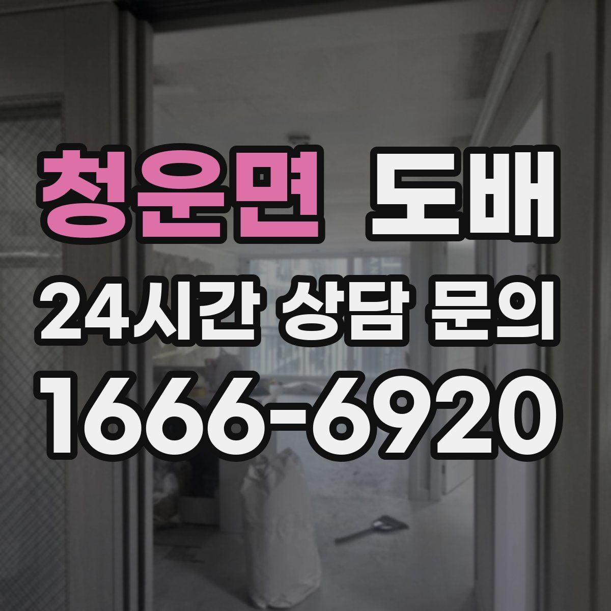 청운면 도배