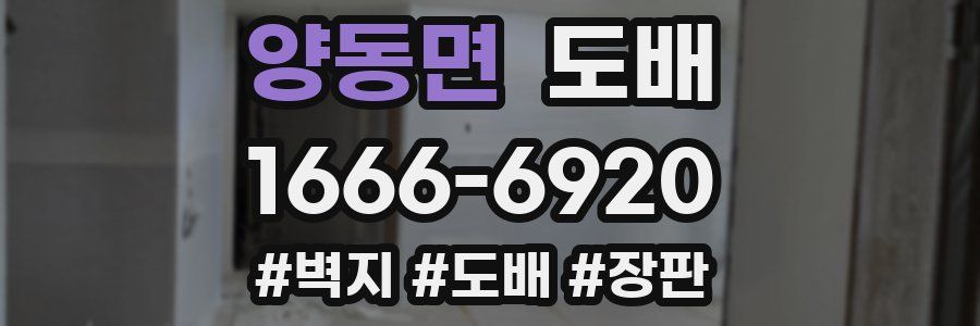 양동면 도배