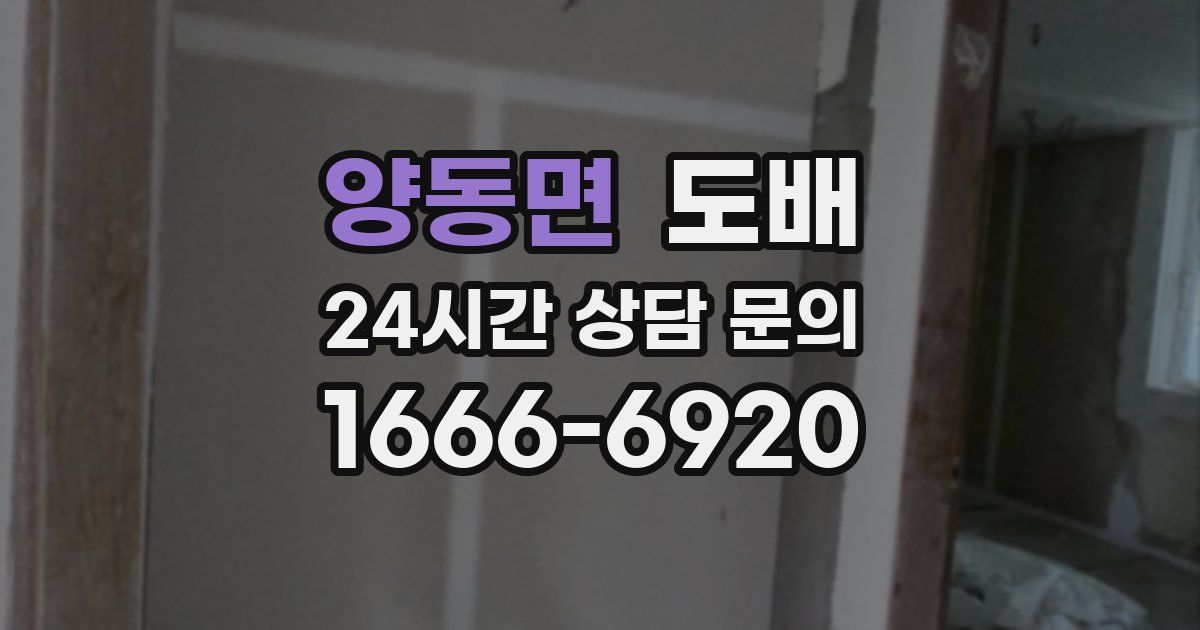 양동면 도배