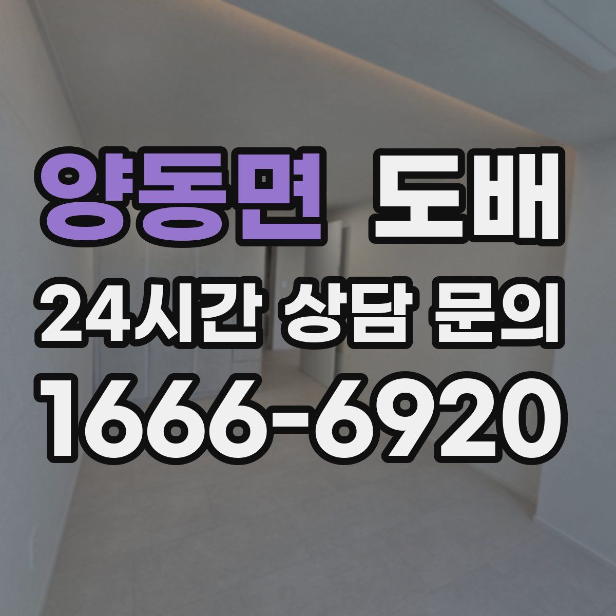 양동면 도배