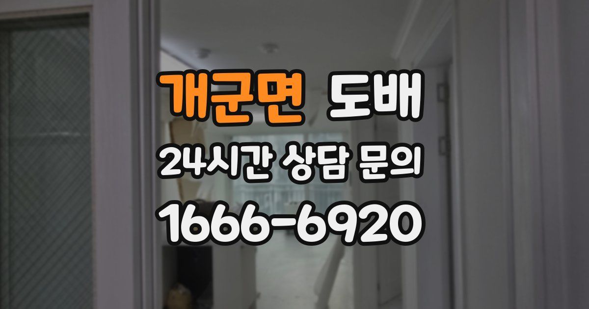개군면 도배