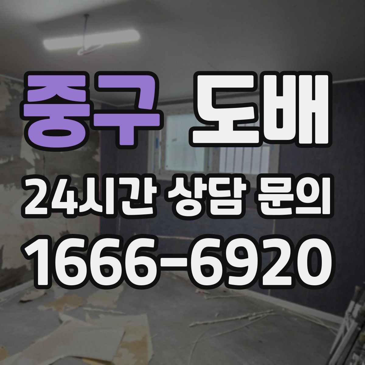 중구 도배