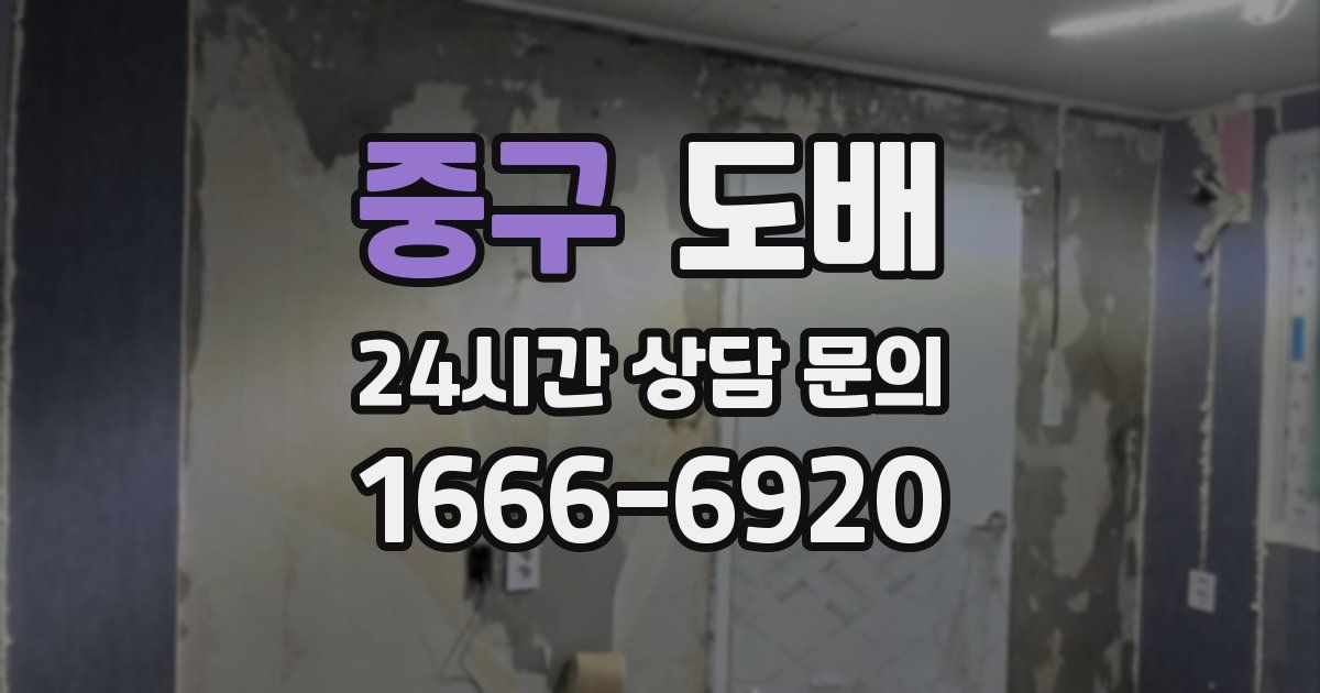 중구 도배