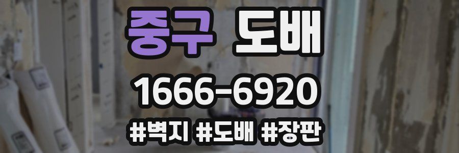 중구 도배