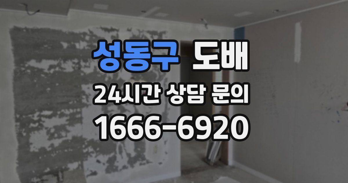 성동구 도배