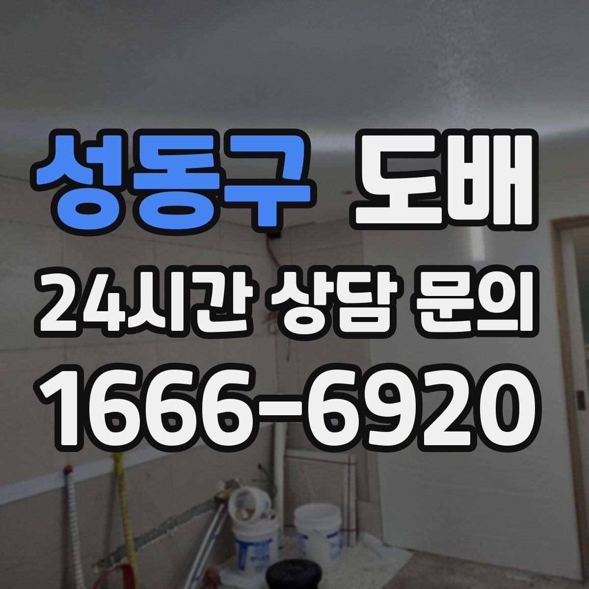 성동구 도배
