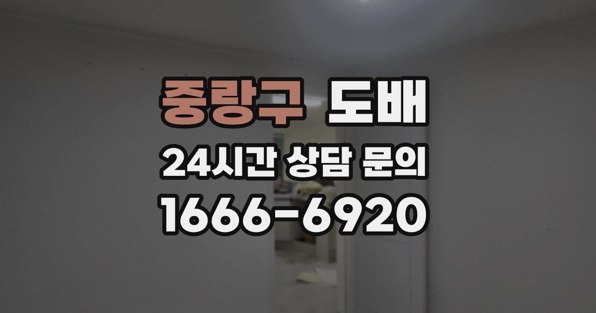 중랑구 도배