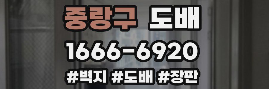 중랑구 도배