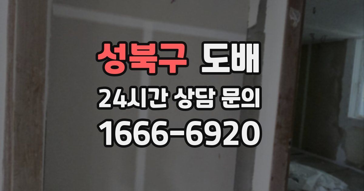 성북구 도배