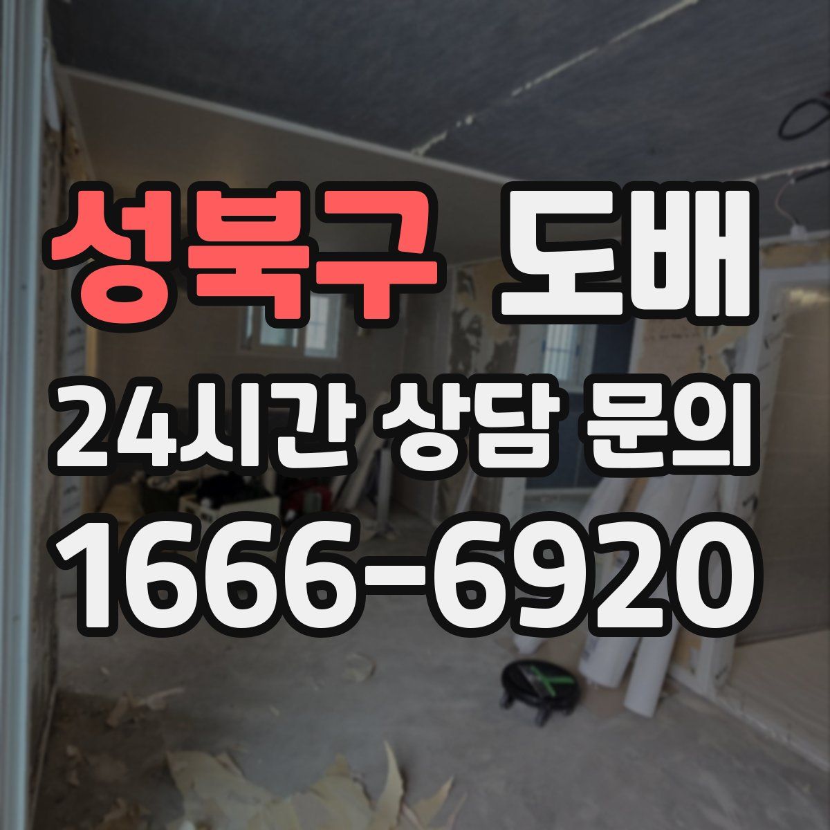 성북구 도배