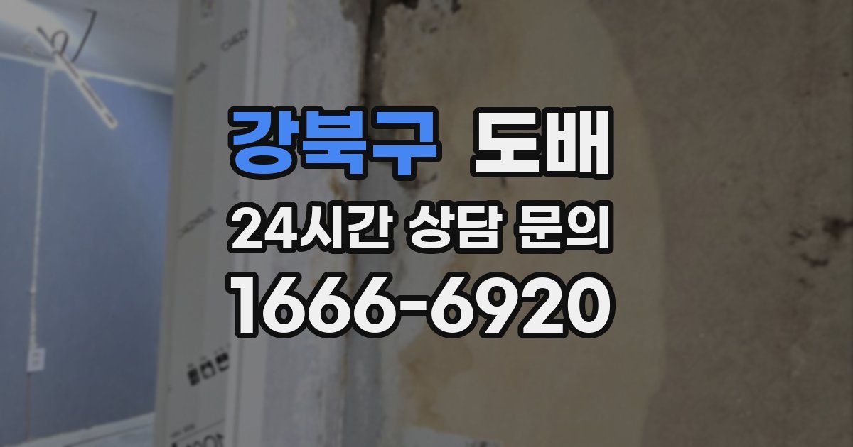 강북구 도배