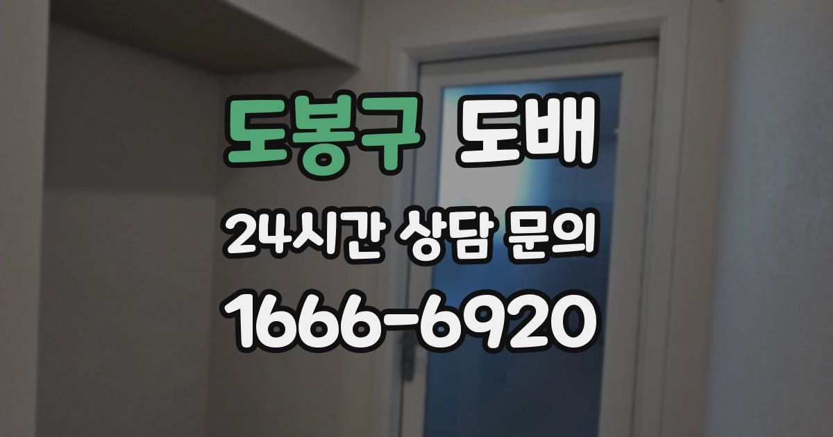 도봉구 도배